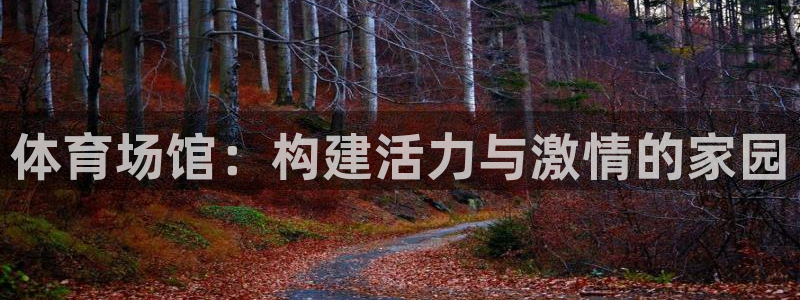 意昂体育4招商电话是多少啊：体育场馆：构建活力与激情
