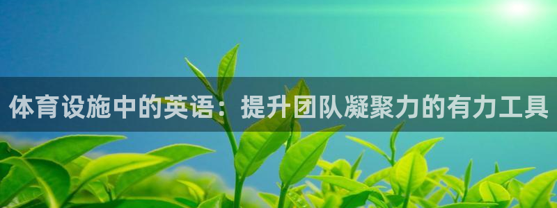 意昂体育4招商电话是多少号码：体育设施中的英语：提升