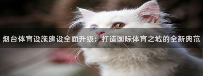 意昂4娱乐平台：烟台体育设施建设全面升级：打造国际体