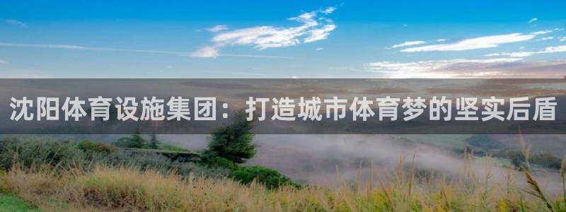 意昂4代理：沈阳体育设施集团：打造城市体育梦的坚实后