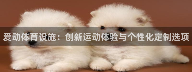 意昂体育4平台：爱动体育设施：创新运动体验与个性化定