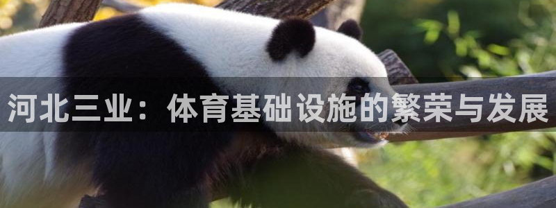 意昂4集团官网首页：河北三业：体育基础设施的繁荣与发