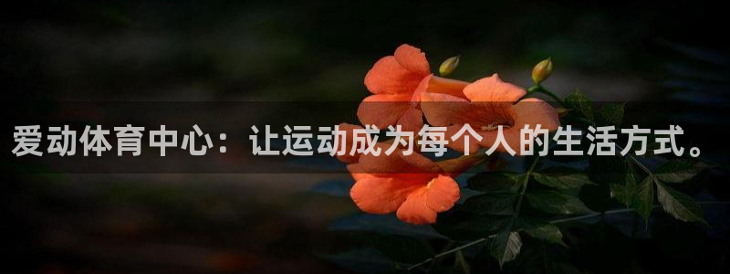意昂4官网：爱动体育中心：让运动成为每个人的生活方式